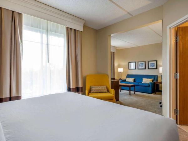 Comfort Suites Near Universal Orlando Resort : photo 6 de la chambre suite lit king-size
