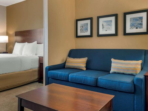 Comfort Suites Near Universal Orlando Resort : photo 2 de la chambre suite lit king-size - accessible aux personnes à mobilité réduite - non-fumeurs