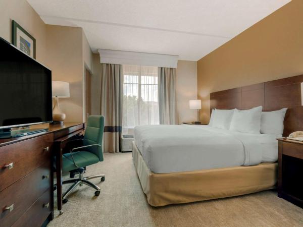 Comfort Suites Near Universal Orlando Resort : photo 3 de la chambre suite lit king-size - accessible aux personnes à mobilité réduite - non-fumeurs