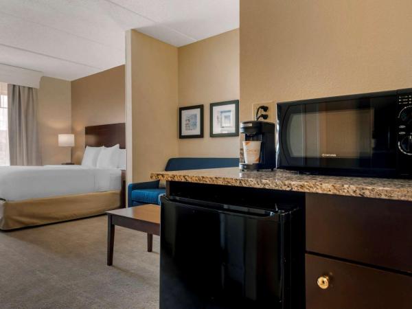 Comfort Suites Near Universal Orlando Resort : photo 6 de la chambre suite lit king-size - accessible aux personnes à mobilité réduite - non-fumeurs