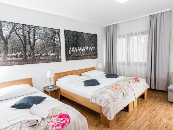 Hotel Korotan : photo 1 de la chambre chambre triple