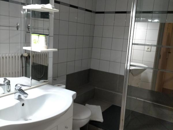 Hotel de Savoie : photo 8 de la chambre chambre quadruple - vue sur canal