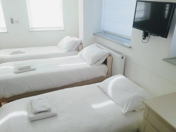 Forest House Hotel : photo 2 de la chambre chambre triple avec douche