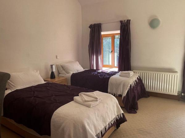 O'Domhnaill's Guesthouse - Lig do Scíth : photo 1 de la chambre chambre familiale avec douche