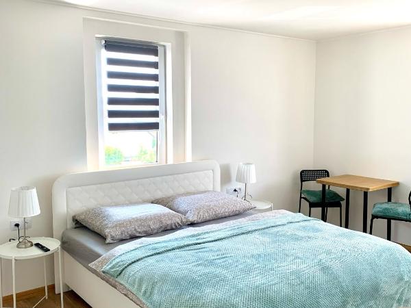 Pension u Šťastných : photo 1 de la chambre chambre double avec salle de bains privative