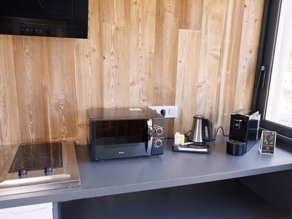 Hotel du Lac Foix : photo 5 de la chambre suite junior avec terrasse