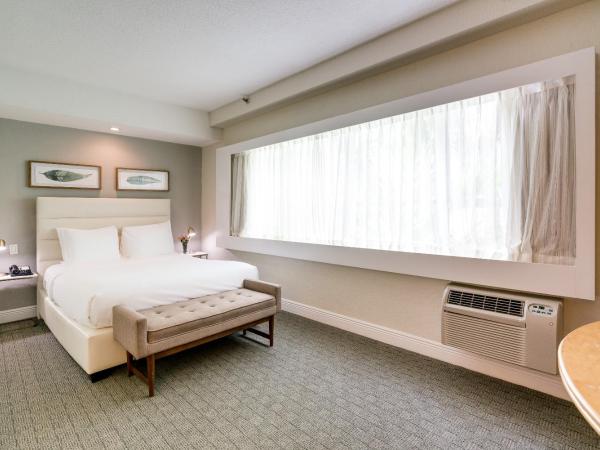 Crest Hotel Suites : photo 1 de la chambre chambre lit queen-size standard 