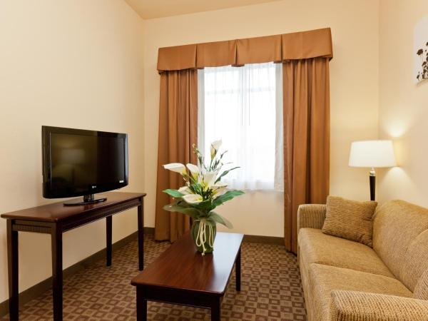 Sleep Inn & Suites Hwy 290-NW Freeway : photo 8 de la chambre suite lit king-size