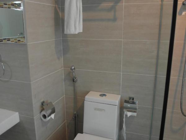 French Hotel : photo 2 de la chambre chambre lits jumeaux deluxe