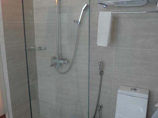 French Hotel : photo 6 de la chambre chambre double super deluxe