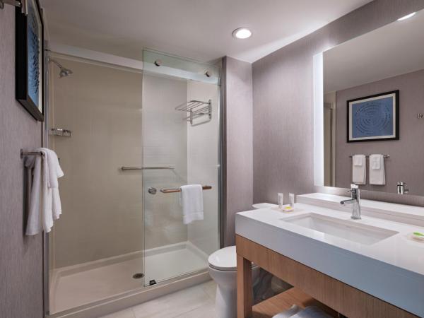 Hyatt Place Austin Lake Travis/Four Points : photo 7 de la chambre chambre lit king-size avec canapé-lit