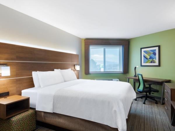 Holiday Inn Express & Suites Colorado Springs-Airport, an IHG Hotel : photo 2 de la chambre suite 1 chambre lit king-size