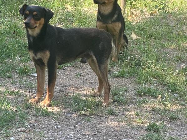 Giardino Eden B&B : photo 5 de la chambre chambre triple avec balcon