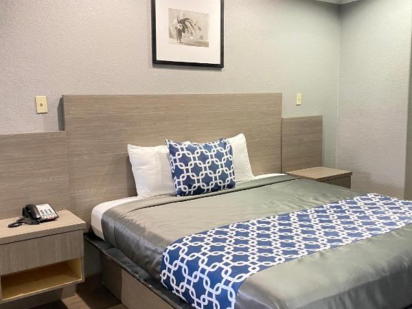 Island Suites Hobby Airport : photo 8 de la chambre suite lit king-size avec jacuzzi