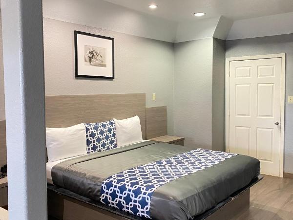 Island Suites Hobby Airport : photo 3 de la chambre suite lit king-size