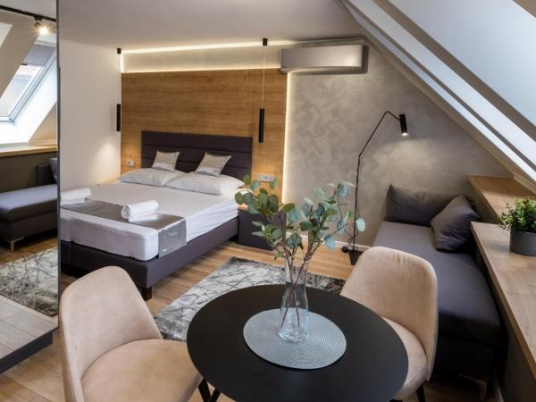 Minaret Residence & Relax Pécs : photo 6 de la chambre studio avec canapé-lit
