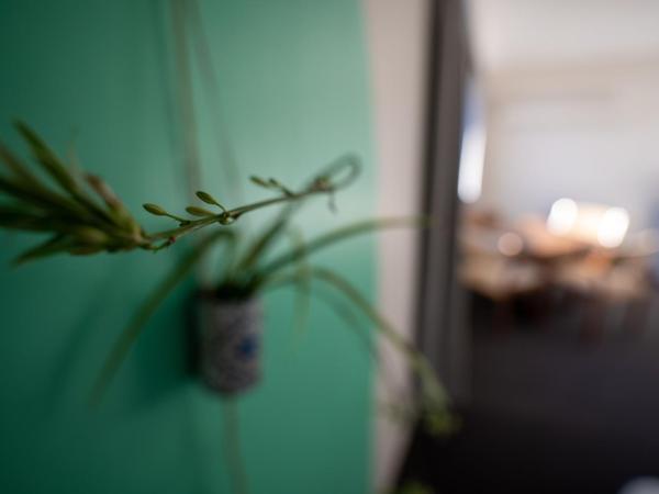 Parklane Motel : photo 1 de la chambre chambre double ou lits jumeaux standard