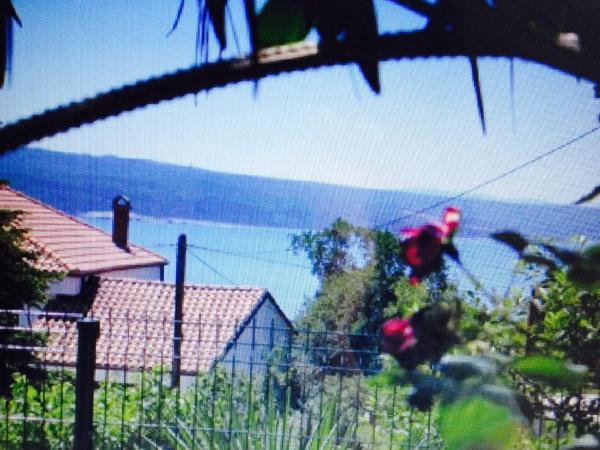 Guesthouse Villa Juric : photo 9 de la chambre studio avec balcon et vue sur la mer