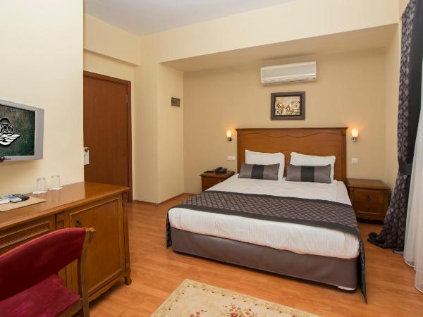 Argos Hotel : photo 6 de la chambre chambre double ou lits jumeaux de luxe standard 