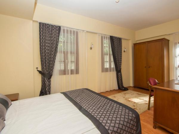 Argos Hotel : photo 3 de la chambre chambre double ou lits jumeaux de luxe standard 
