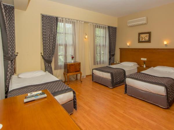 Argos Hotel : photo 2 de la chambre chambre triple - vue sur ville