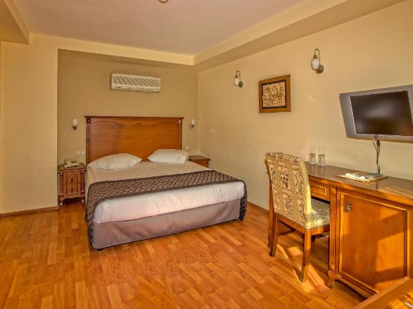 Argos Hotel : photo 7 de la chambre chambre double ou lits jumeaux de luxe standard 