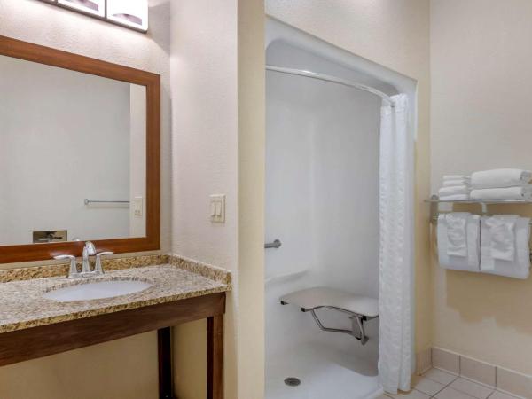 Comfort Suites Near Universal Orlando Resort : photo 7 de la chambre suite lit king-size - accessible aux personnes à mobilité réduite - non-fumeurs