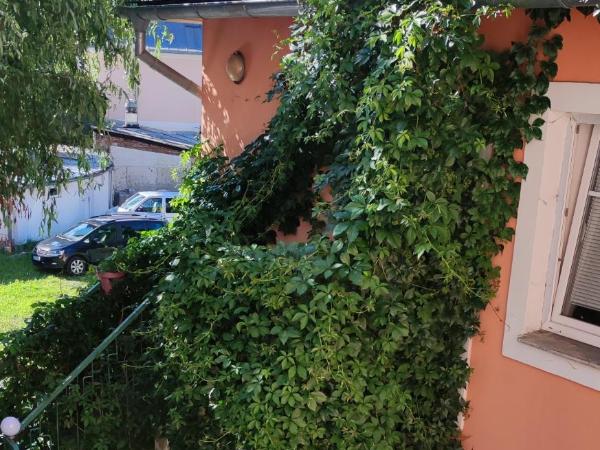 Penzion Libertas Mariánské Lázně : photo 5 de la chambre studio