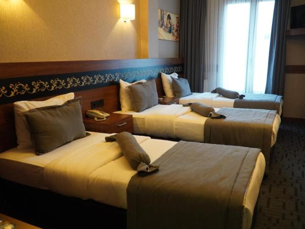 Bern Hotel : photo 2 de la chambre chambre triple standard