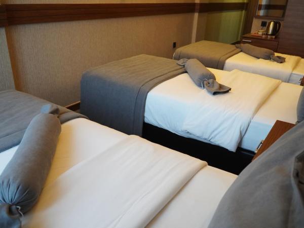 Bern Hotel : photo 3 de la chambre chambre triple standard