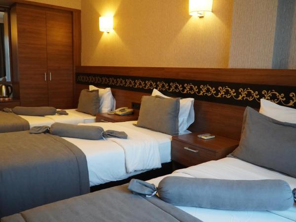 Bern Hotel : photo 5 de la chambre chambre triple standard