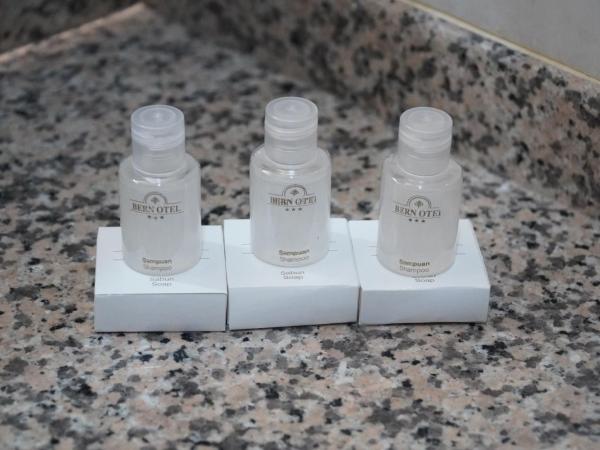 Bern Hotel : photo 6 de la chambre chambre triple standard