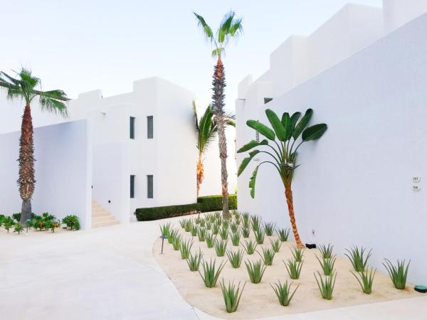 Marquis Los Cabos, an All - Inclusive, Adults - Only & No Timeshare Resort : photo 7 de la chambre hébergement casita avec petite piscine - vue sur jardin