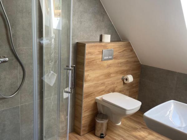 Apollo & SPA Karpacz : photo 5 de la chambre chambre simple