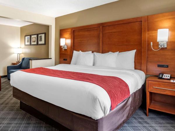 Comfort Inn Oklahoma City South - I-240 : photo 3 de la chambre chambre lit king-size - non-fumeurs