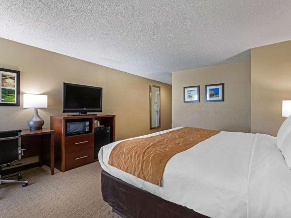 Comfort Inn N Myrtle Beach Barefoot Landing : photo 4 de la chambre chambre lit king-size - non-fumeurs