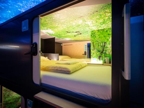 Capsule Hotel - theLAB : photo 5 de la chambre capsule suisse