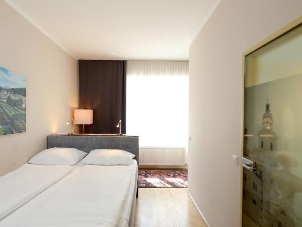 Das Jedermann Boutiquehotel mit Stadtgarten : photo 3 de la chambre chambre simple