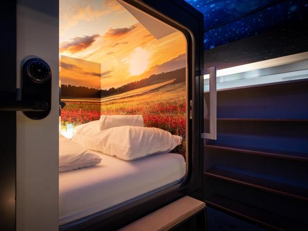 Capsule Hotel - theLAB : photo 7 de la chambre capsule suisse
