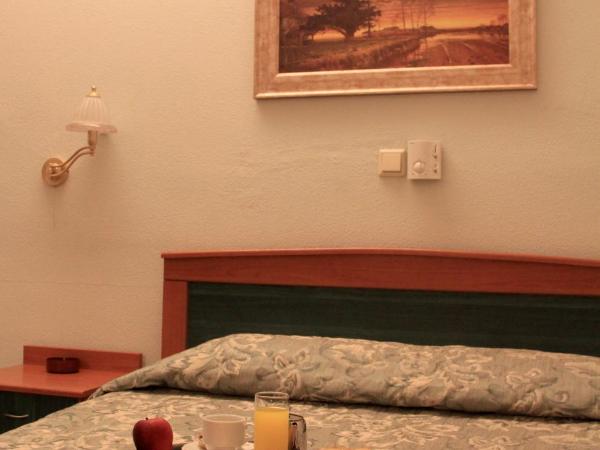 Hotel Platon : photo 4 de la chambre chambre double