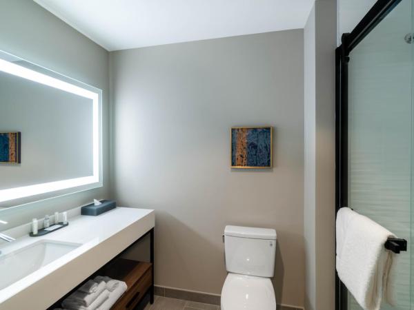 La Quinta Inn & Suites by Wyndham Nashville Downtown Stadium : photo 1 de la chambre chambre lit king-size - non-fumeurs