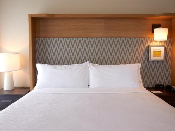 Holiday Inn Louisville Downtown , an IHG Hotel : photo 1 de la chambre chambre standard lit queen-size