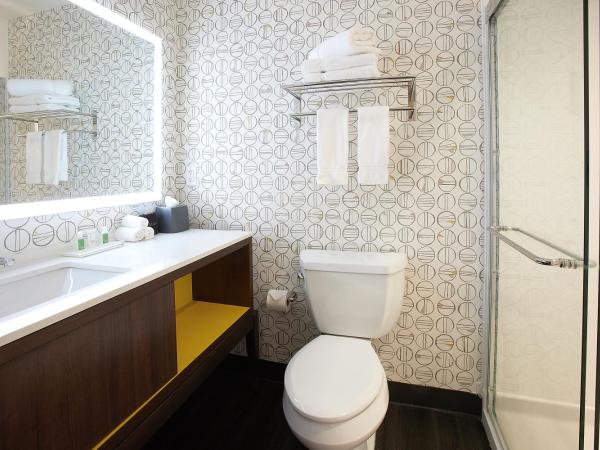 Holiday Inn Louisville Downtown , an IHG Hotel : photo 3 de la chambre chambre lit king-size standard