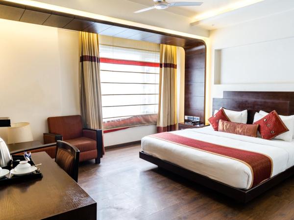 Hotel Godwin Deluxe -Near New Delhi Railway Station - Paharganj : photo 8 de la chambre studio