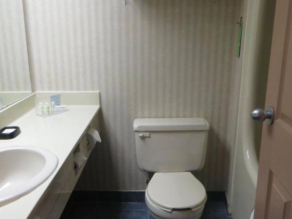 Clifton Victoria Inn at the Falls : photo 4 de la chambre suite lit queen-size avec jacuzzi