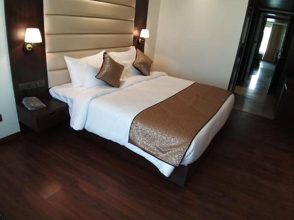 Hotel DVIJ INN : photo 3 de la chambre chambre deluxe