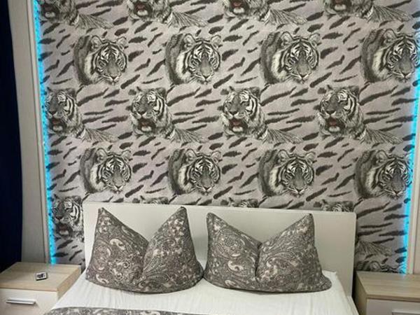 Hostel Nuremberg : photo 8 de la chambre chambre double avec douche et toilettes communes