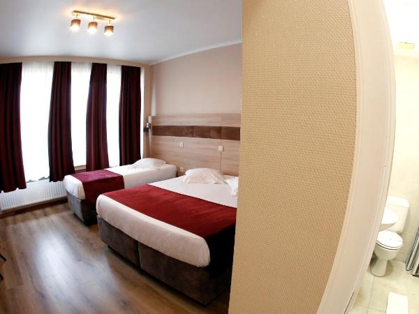 Hotel de France : photo 5 de la chambre chambre triple