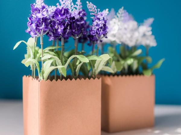 Carducci Bistrot : photo 2 de la chambre chambre triple basique