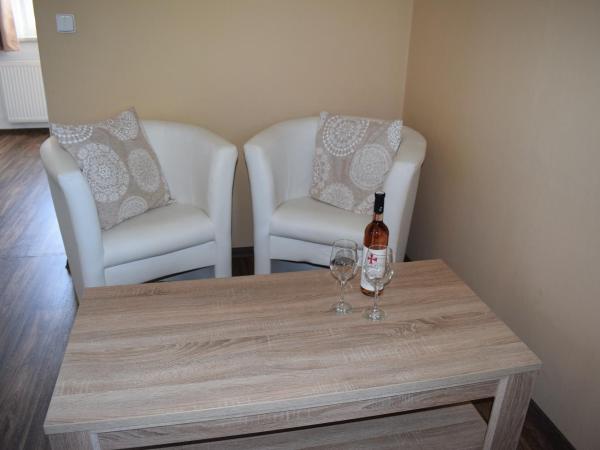 Pension Elbrs : photo 4 de la chambre studio (3 adultes)